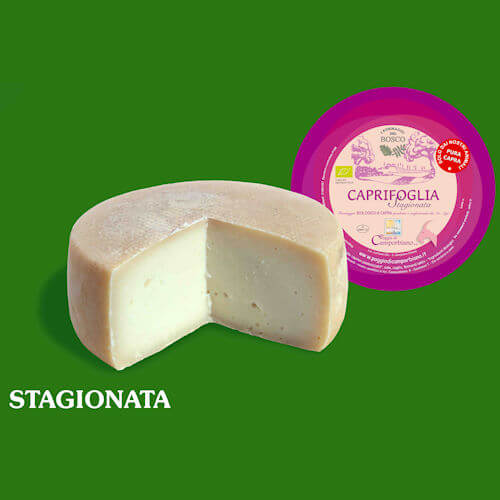 Caprifoglia stagionata s/vuoto